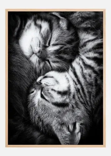Yin And Yang Poster (21x29.7 cm (A4)) Lichidare de stoc