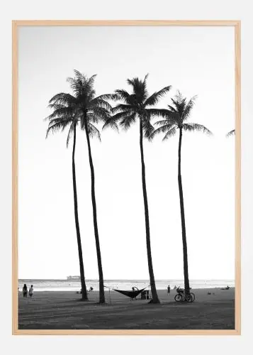 Black And White Palm Trees Poster (21x29.7 cm (A4)) Preț redus