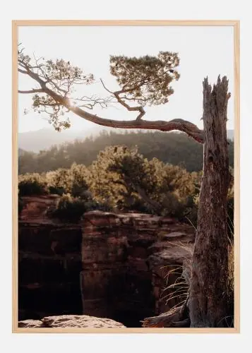 Broken Tree Poster (21x29.7 cm (A4)) Chilipir