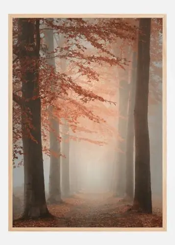 Autumn Dream Poster (21x29.7 cm (A4)) Preț mic