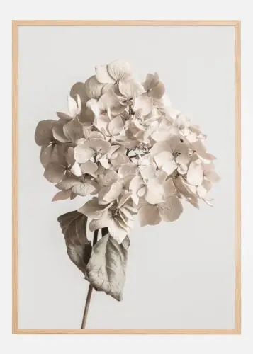 Beige Dried Flower Poster (21x29.7 cm (A4)) Bestseller