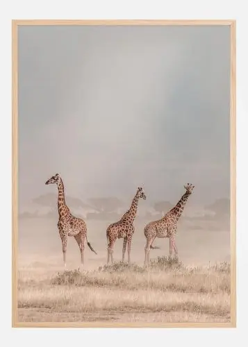 Cel mai bun preț Weathering The Amboseli Dust Devils Poster (21x29.7 cm (A4))