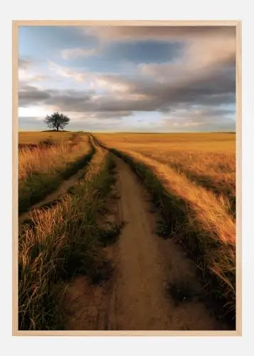 Yellow Poster (21x29.7 cm (A4)) Preț redus