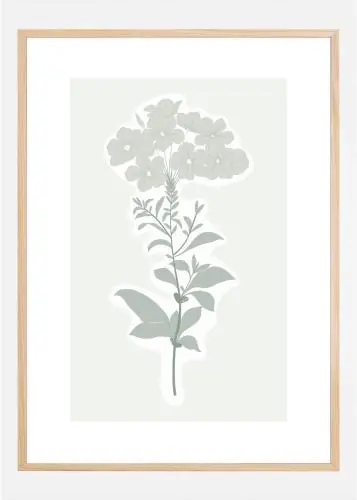 Vezi acum BOTANIC Poster (21x29.7 cm (A4))
