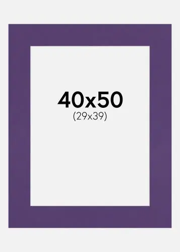 Passepartout Purple Iris (Miez Alb) 40x50 cm (29x39) Livrare rapidă