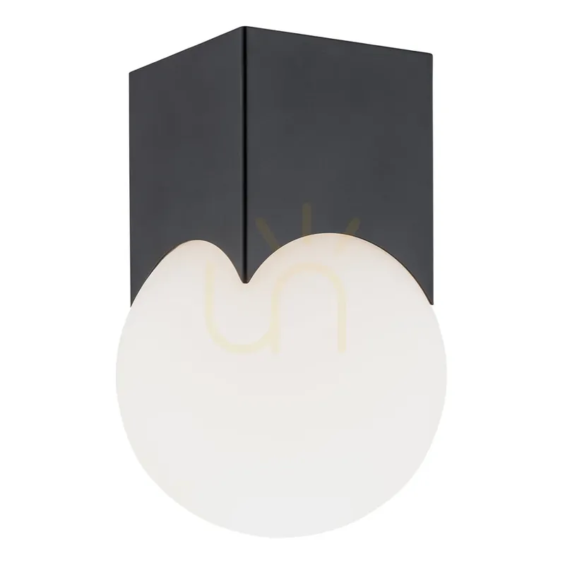 Plafonieră ARGON AUSTIN opal mat negru mat E14 4713 Cumpărături sigure