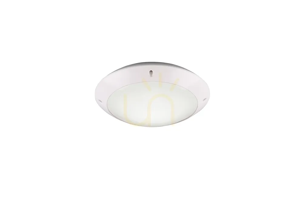 RL CAMARO Outdoor Plafonds R60501031 Ofertă de sezon
