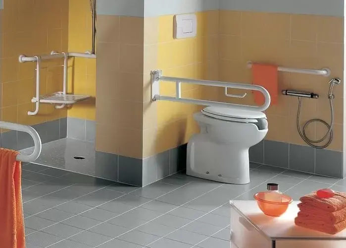 Cumpără acum Capac vas wc pentru persoane cu dizabilitati, Hatria seria Autonomy 01YXZ001