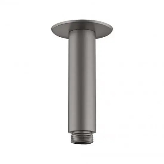 Brat de dus, cu montaj pe tavan 100 mm, antracit satinat (brushed black chrome), Hansgrohe 27479340 Popular