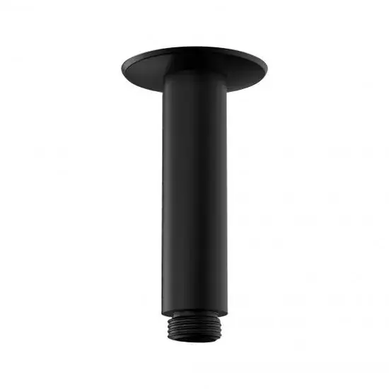 Brat de dus, cu montaj pe tavan 100 mm, negru mat (matt black), Hansgrohe 27479670 Plată sigură
