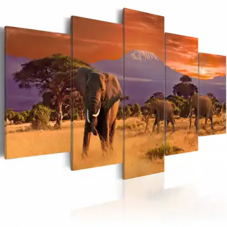 Bestseller Tablou - Africa Elephants 200x100 cm
