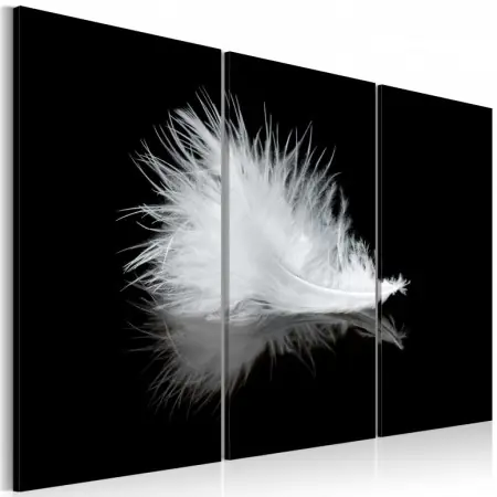 Bestseller Tablou - A small feather 120x80 cm
