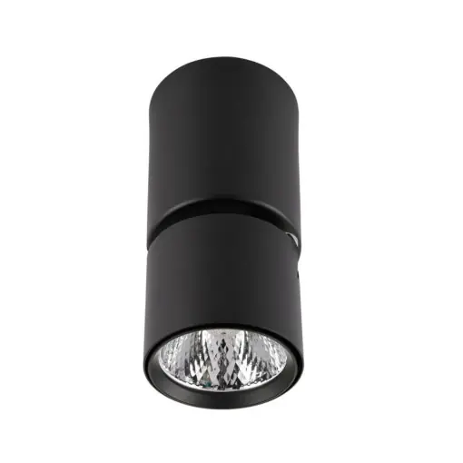 Spot aplicat modern negru rotund Boniva Reduceri