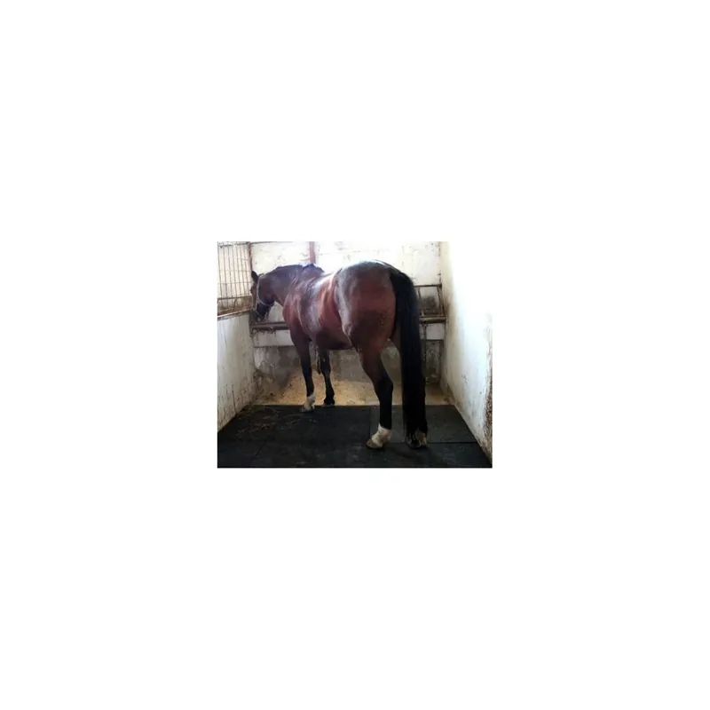 Pavele cauciuc Zootehnie EQUIFLEX PONY 30, 100X100X3 CM Preț mic
